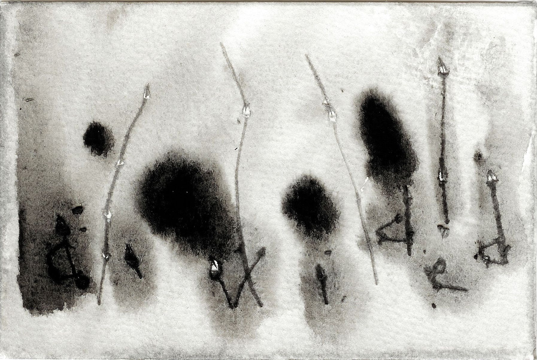 David Lynch, Divided