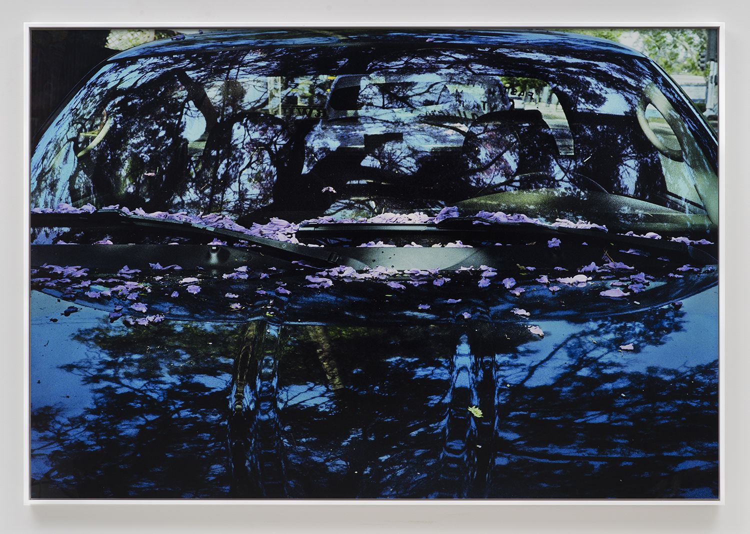 Liza Ryan Blue Bleed, 2015