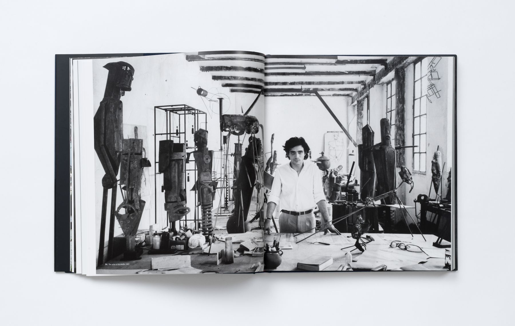 One Thought Fills Immensity Jaume Plensa Publications