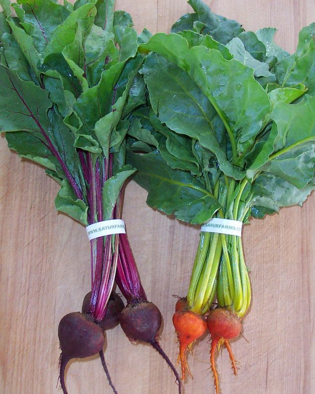 Baby Beets