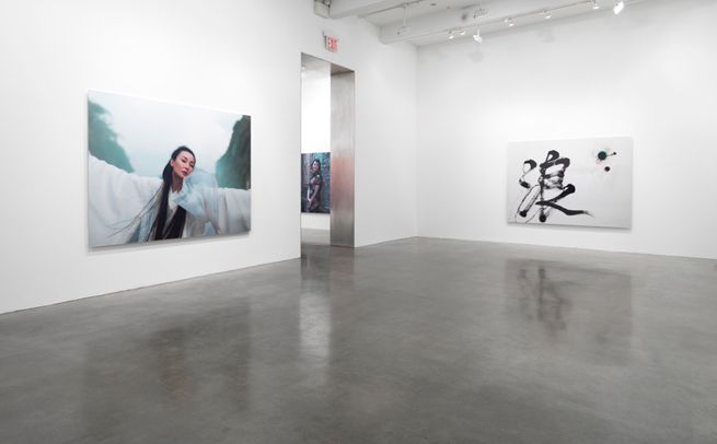 Ten Thousand Waves, 2011, installation view. Metro Pictures, New York.