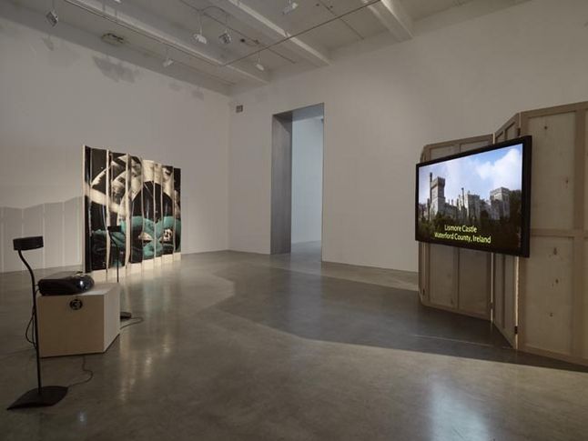 T. J. Wilcox, 2010, installation view. Metro Pictures, New York