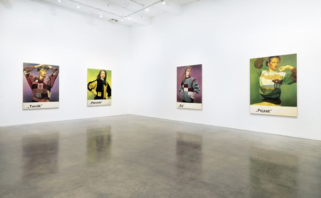Applied Fantastic, 2010, installation view. Metro Pictures, New York.
