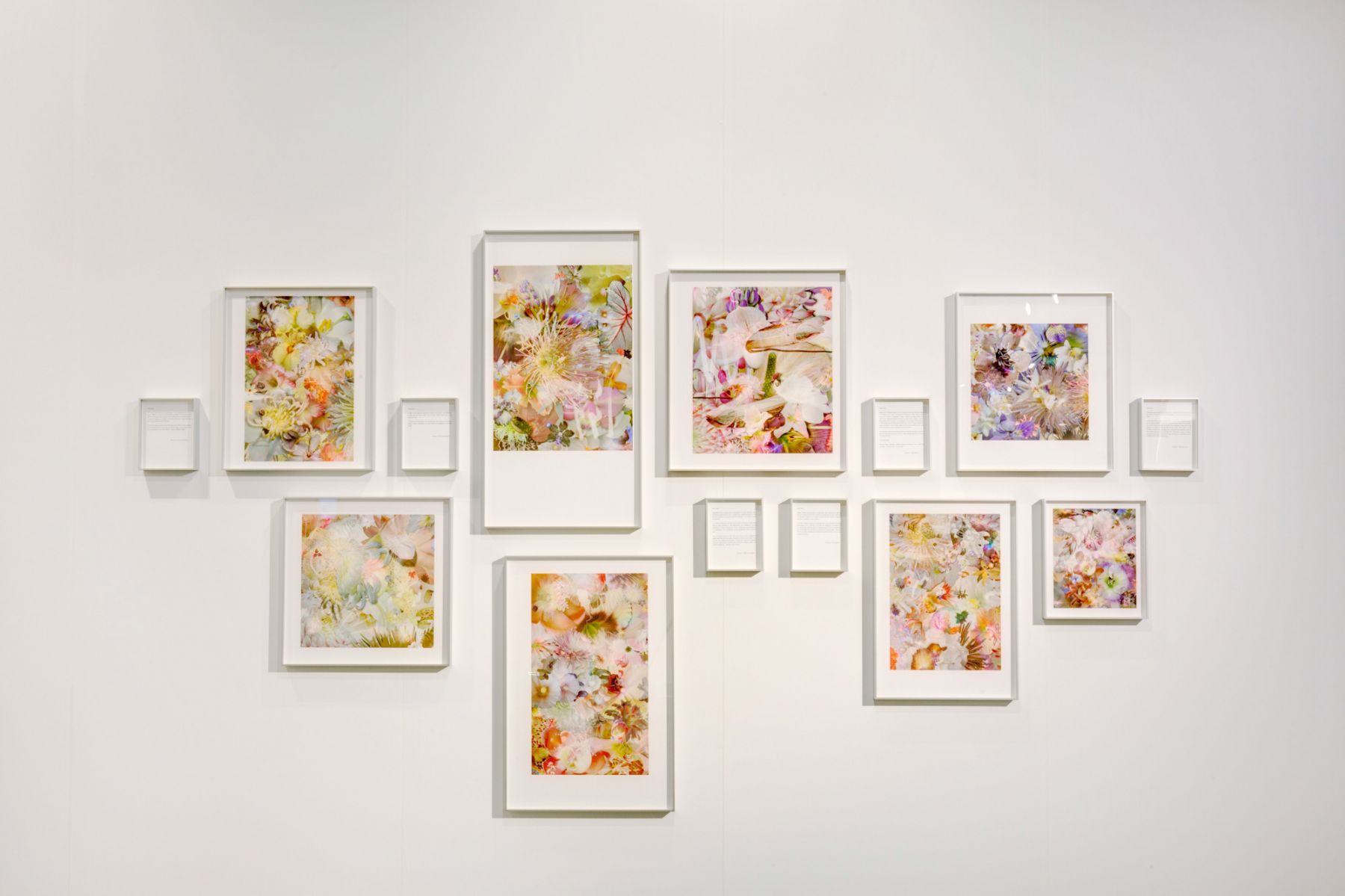 Liu Shiyuan Untitled, 2014