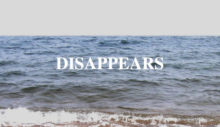 John Miller & Takuji Kogo, still from A Small Fish (In a Big Sea), 2010/2011. Single-channel video, flash files, duration: 3 minutes 38 seconds.