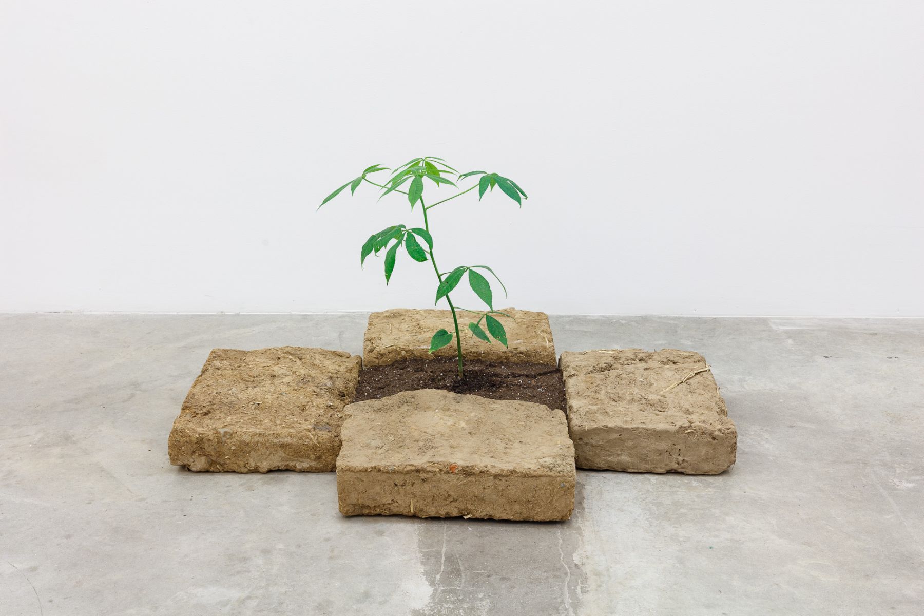 Group Show with Commonwealth and Council: Rafa Esparza and Beatriz Cortez