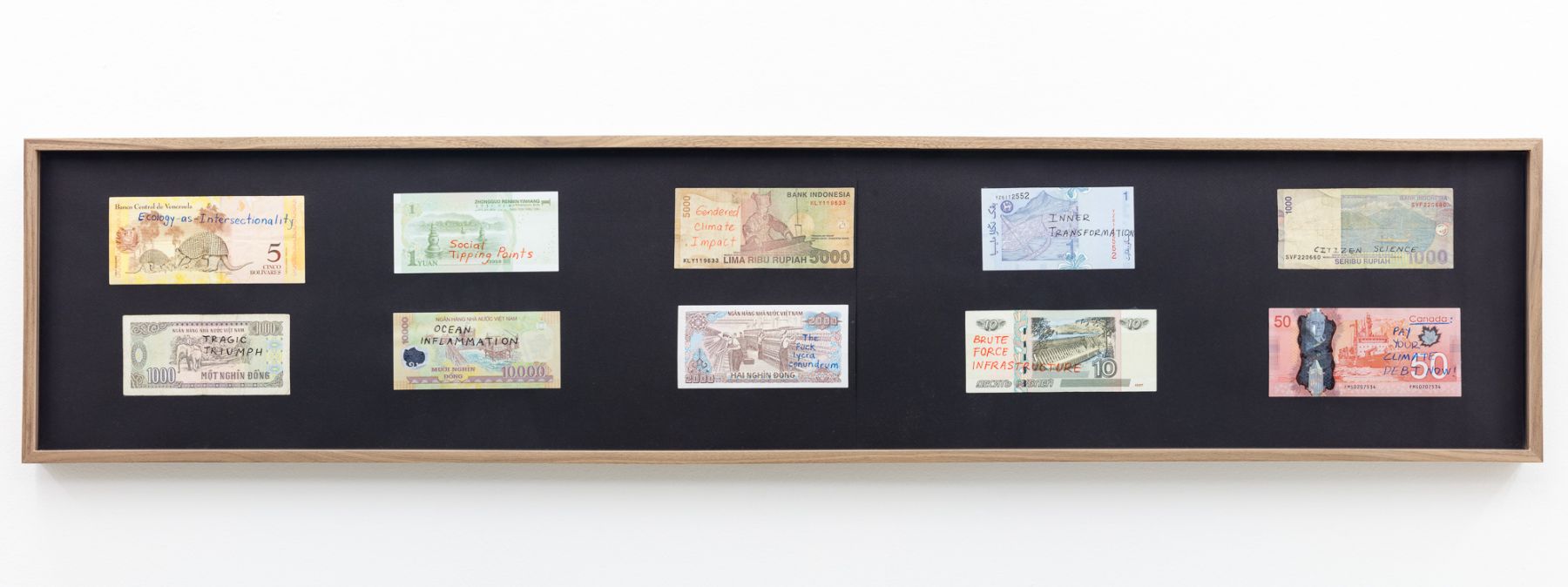 Group Show with Commonwealth and Council: Carolina Caycedo