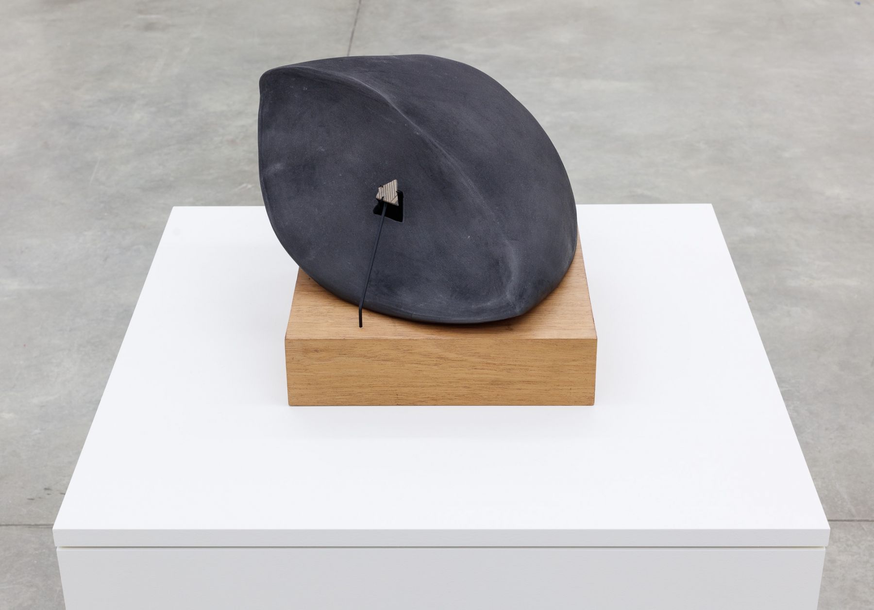 Group Show with Commonwealth and Council: Gala Porras-Kim