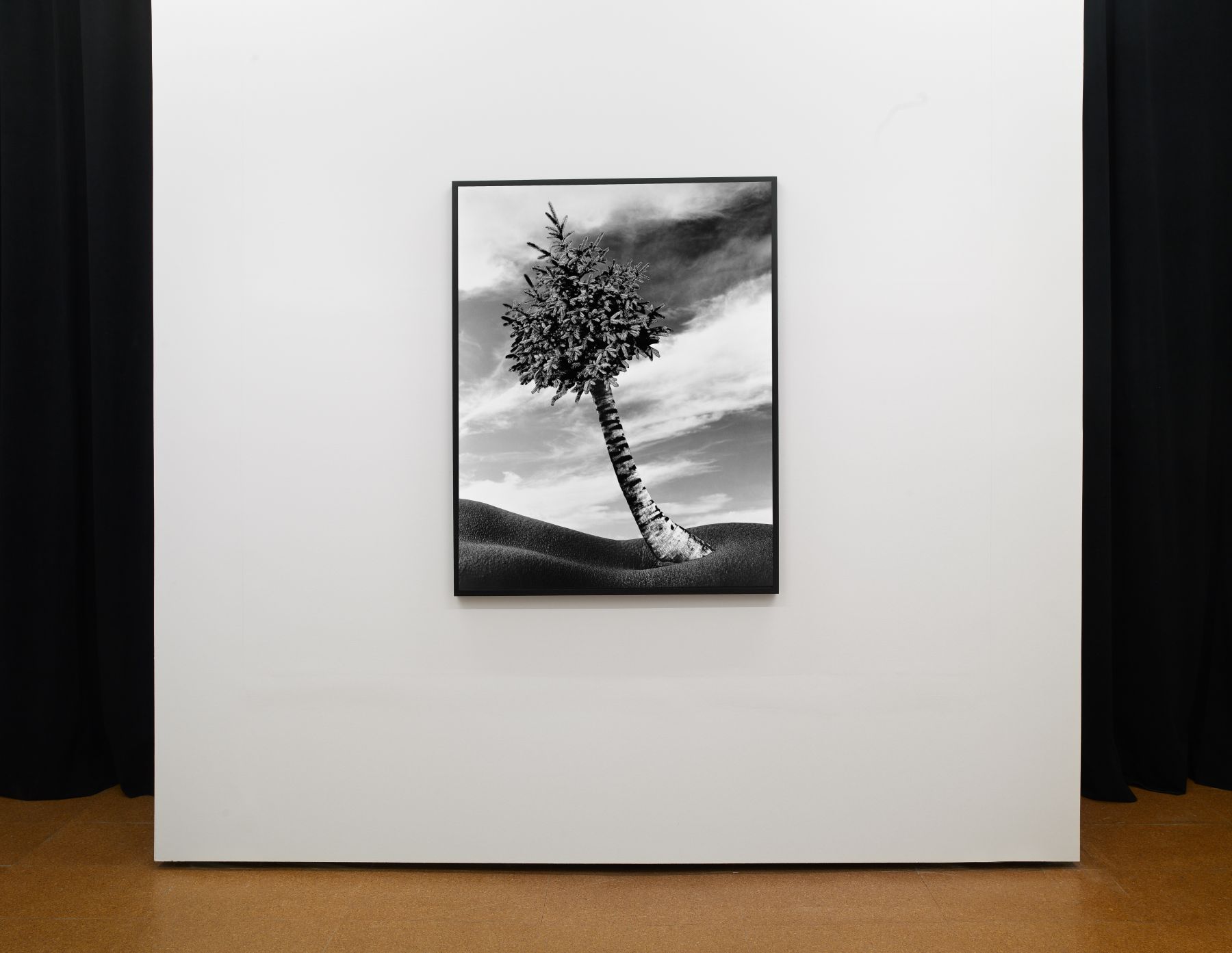 Lorraine O'Grady Exhibitions Alexander Gray Associates