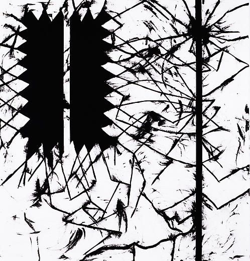 Plaisir Noir 2007