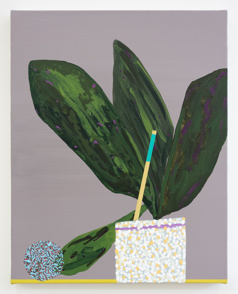 Paul Wackers, Plant Study, 2018