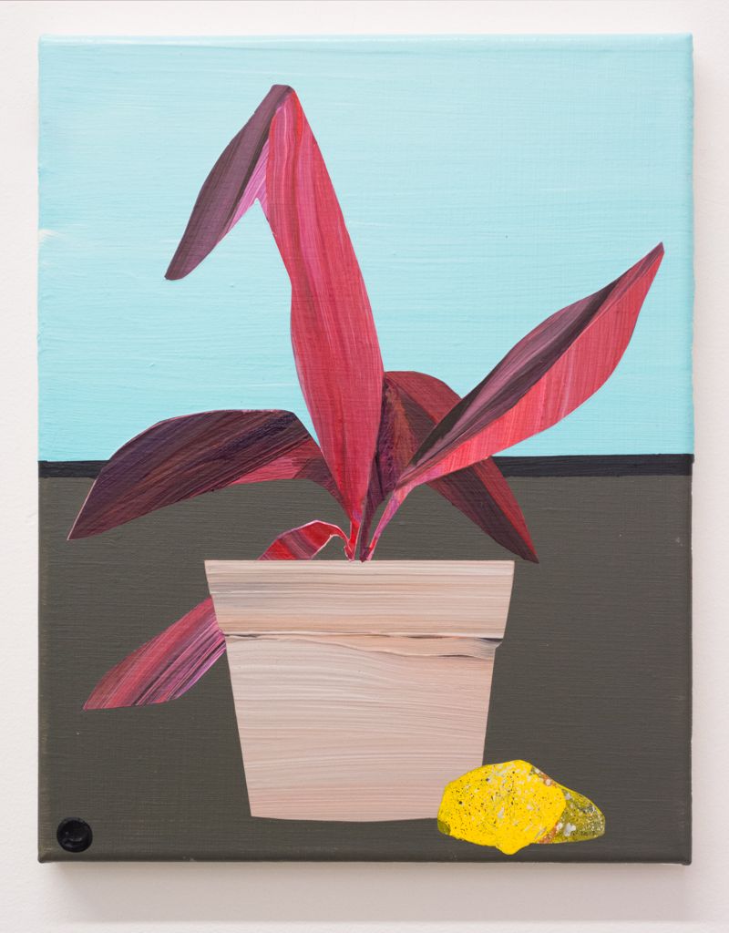 Paul Wackers, Plant Study, 2018