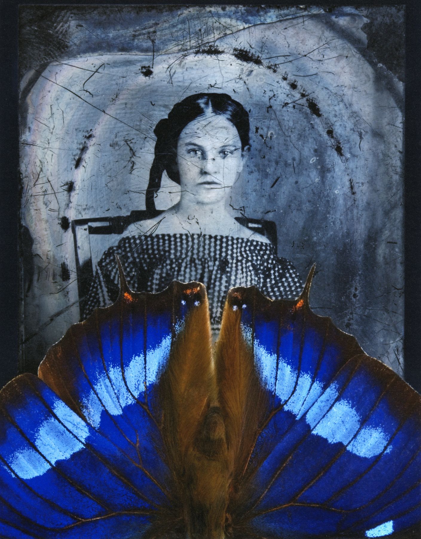 Jo Whaley - Artists - Joseph Bellows Gallery