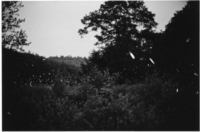 Gregory Crewdson