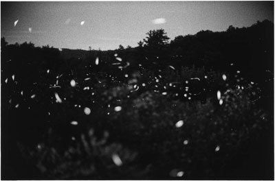 Gregory Crewdson