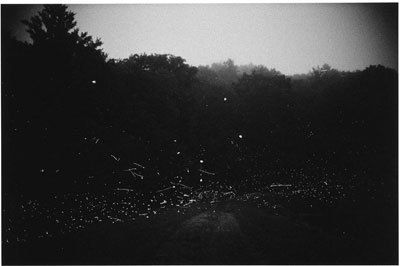 Gregory Crewdson