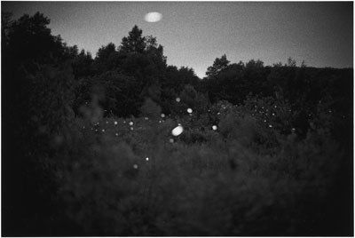 Gregory Crewdson