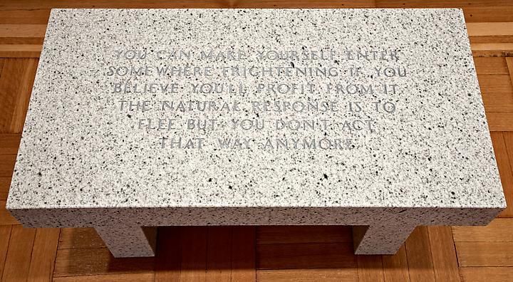 Jenny Holzer, Living Series: You can make yourself enter, 1989