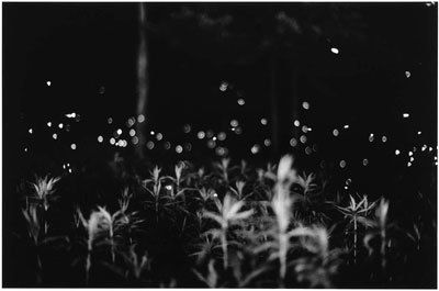 Gregory Crewdson