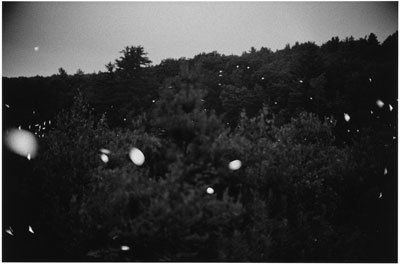 Gregory Crewdson