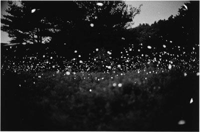 Gregory Crewdson