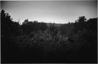 Gregory Crewdson