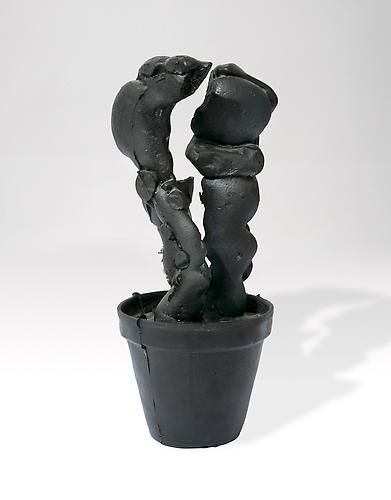 Fischli & Weiss, Cactus, 1987