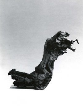 Fischli & Weiss, Tree Root, 1987