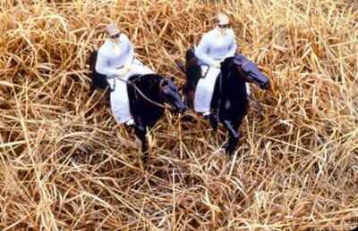 Laurie Simmons, Brothers/Aerial View/Vertical, 1979