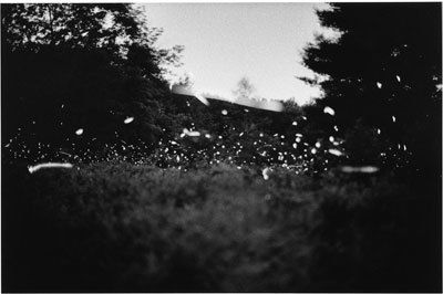 Gregory Crewdson
