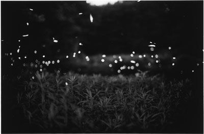 Gregory Crewdson