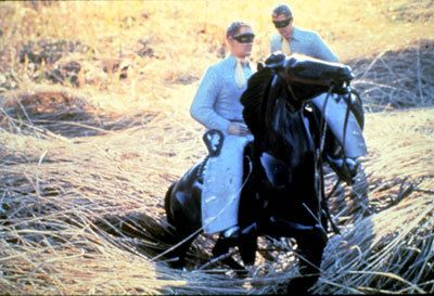Laurie Simmons, Brothers/Hay, 1979