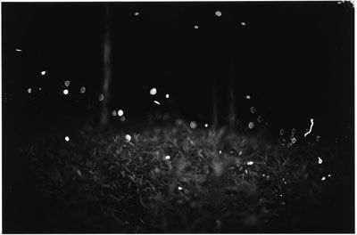 Gregory Crewdson