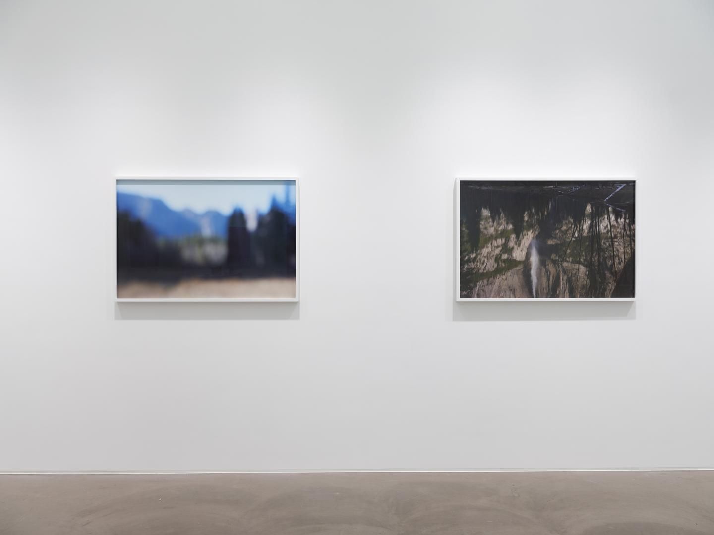 CATHERINE OPIE So long as they are wild
installation view 11