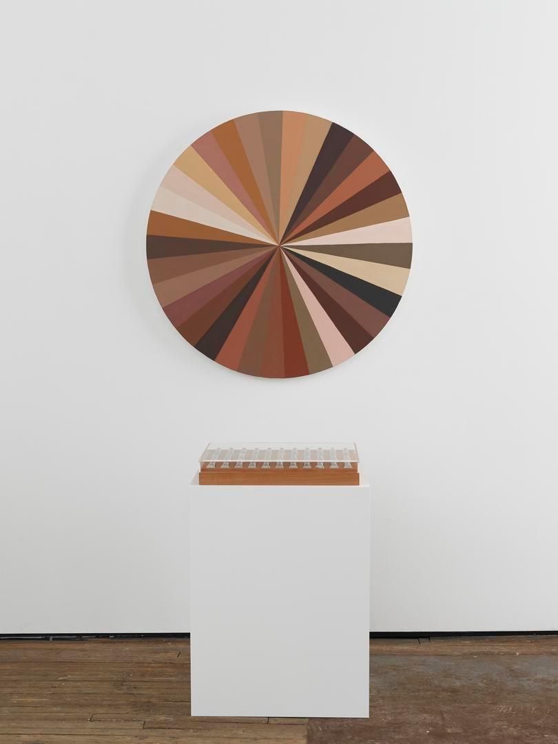 ADRIANA VAREJÃO Polvo Color Wheel VII, 2015