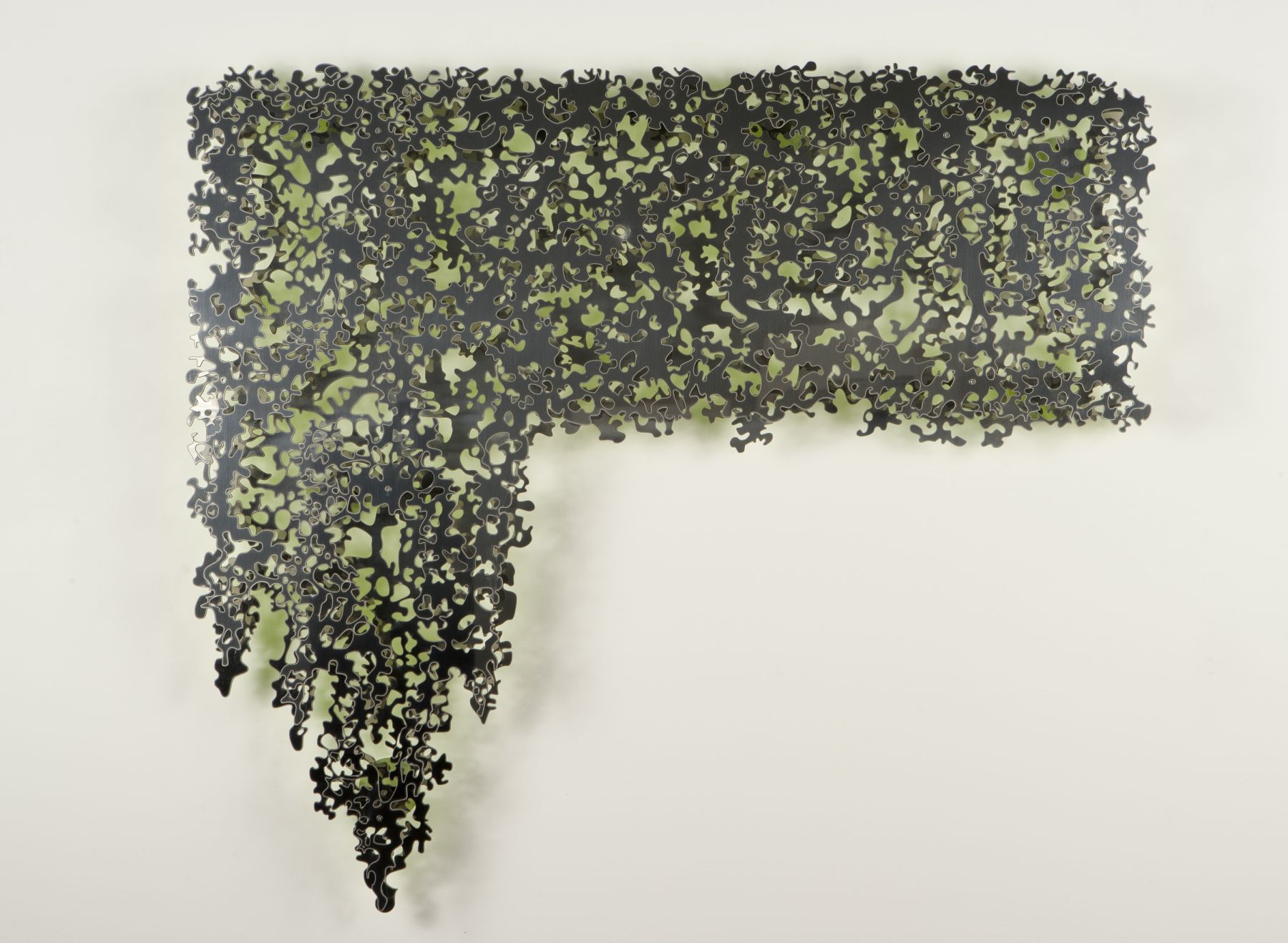 TERESITA FERNÁNDEZ, Mirror (Trellis), 2010