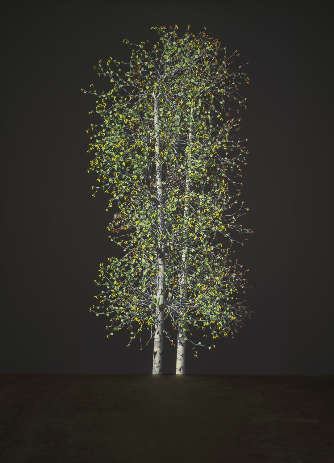JENNIFER STEINKAMP Blind Eye 2, 2018