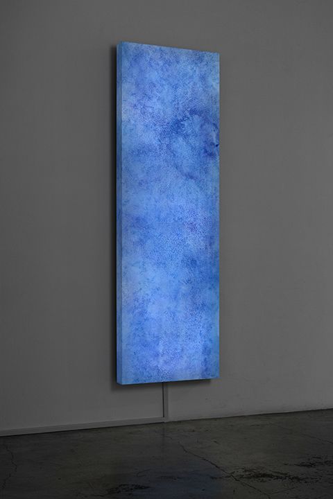 SHIRAZEH HOUSHIARY The River is Within Us, 2015