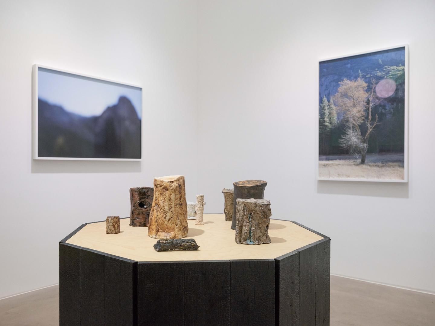 CATHERINE OPIE So long as they are wild
installation view 5