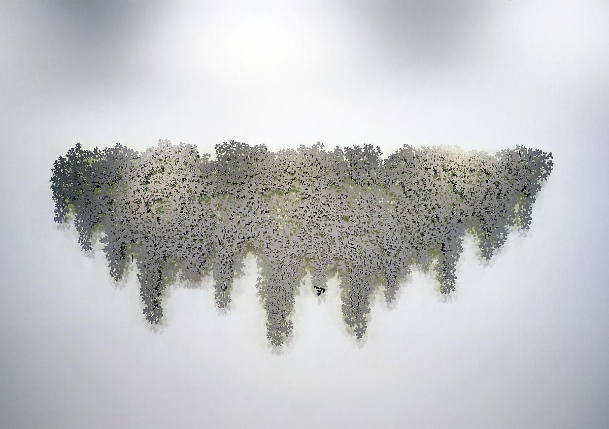 TERESITA FERNÁNDEZ Portrait (Blind Landscape), 2008