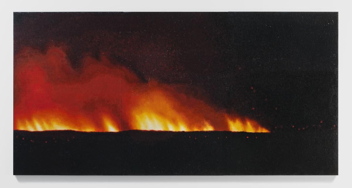 TERESITA FERNÁNDEZ Fire (America) 2, 2016