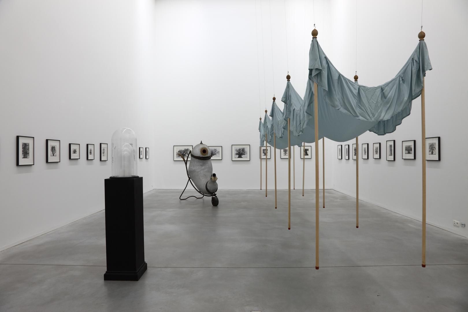Patrick Van Caeckenbergh: La ruine fructueuse