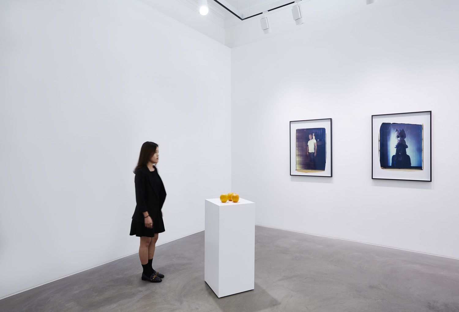 Erwin Wurm, Installation view, Lehmann Maupin, Hong Kong, 2019â