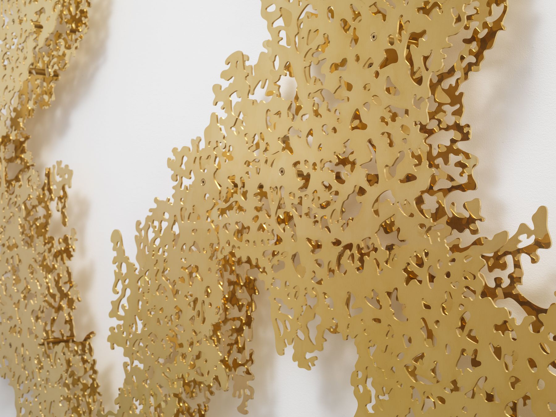 TERESITA FERNÁNDEZ Ghost Vines (Yellow Gold), 2015