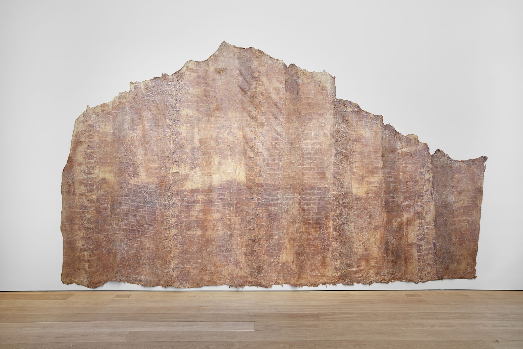HEIDI BUCHER, Elfenbornhaut, Fridericianum, Kassel, 1982 