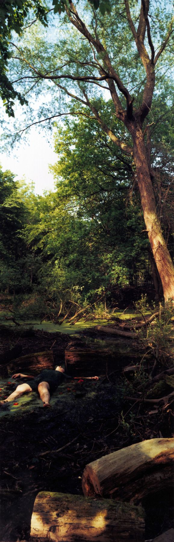 the way things are -- green with red, 2000