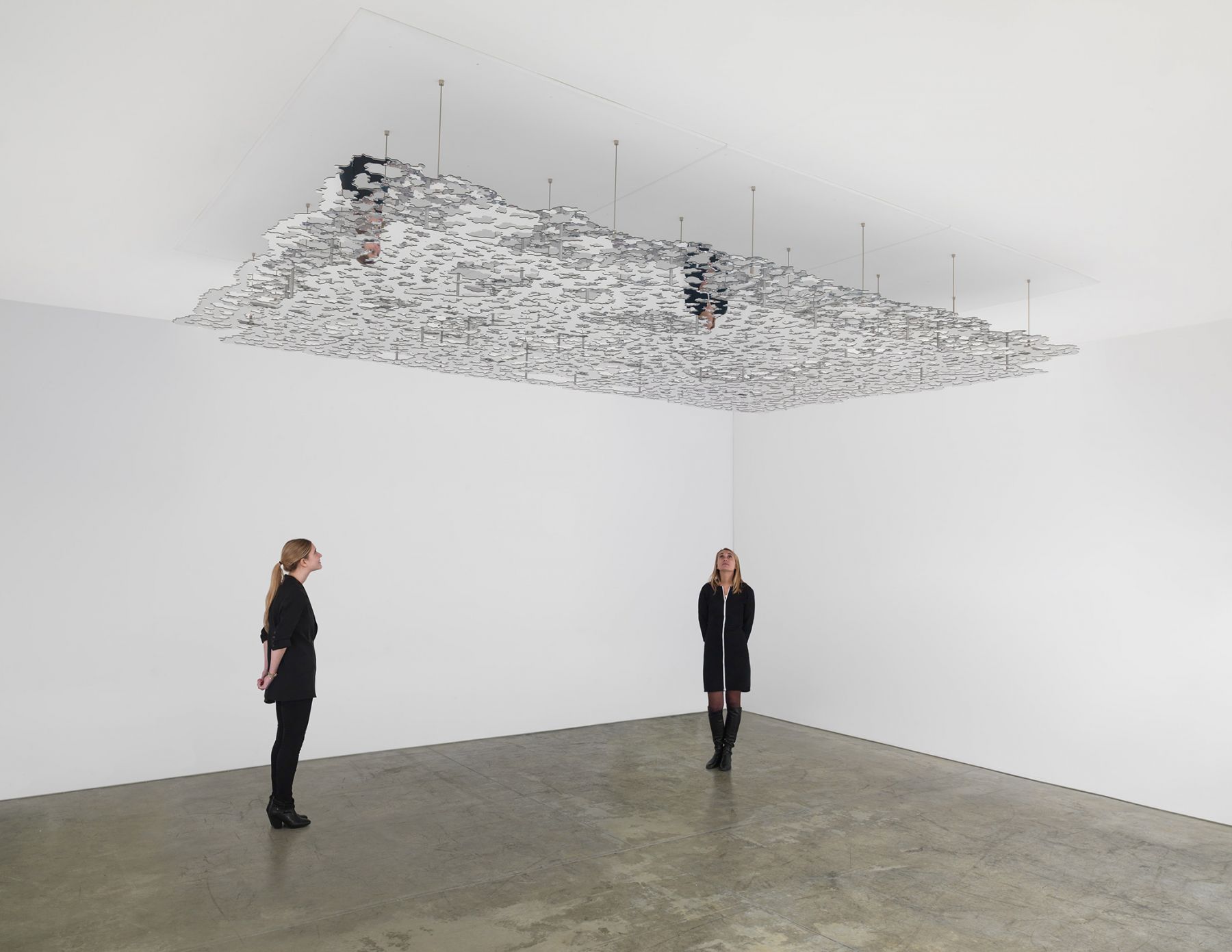 TERESITA FERNÁNDEZ, Untitled (Silver), 2016