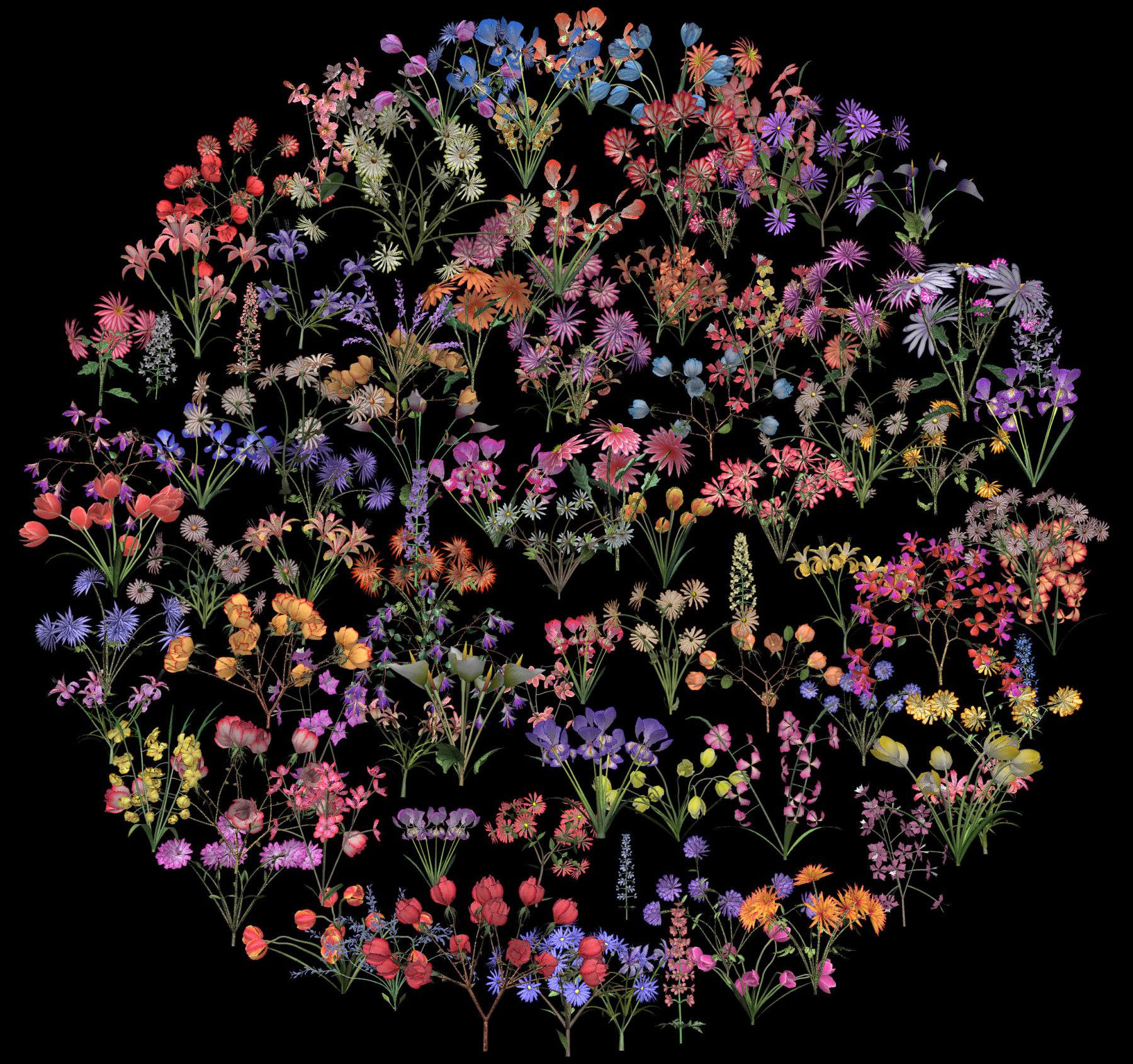 JENNIFER STEINKAMP Botanic 2 (film still), 2015