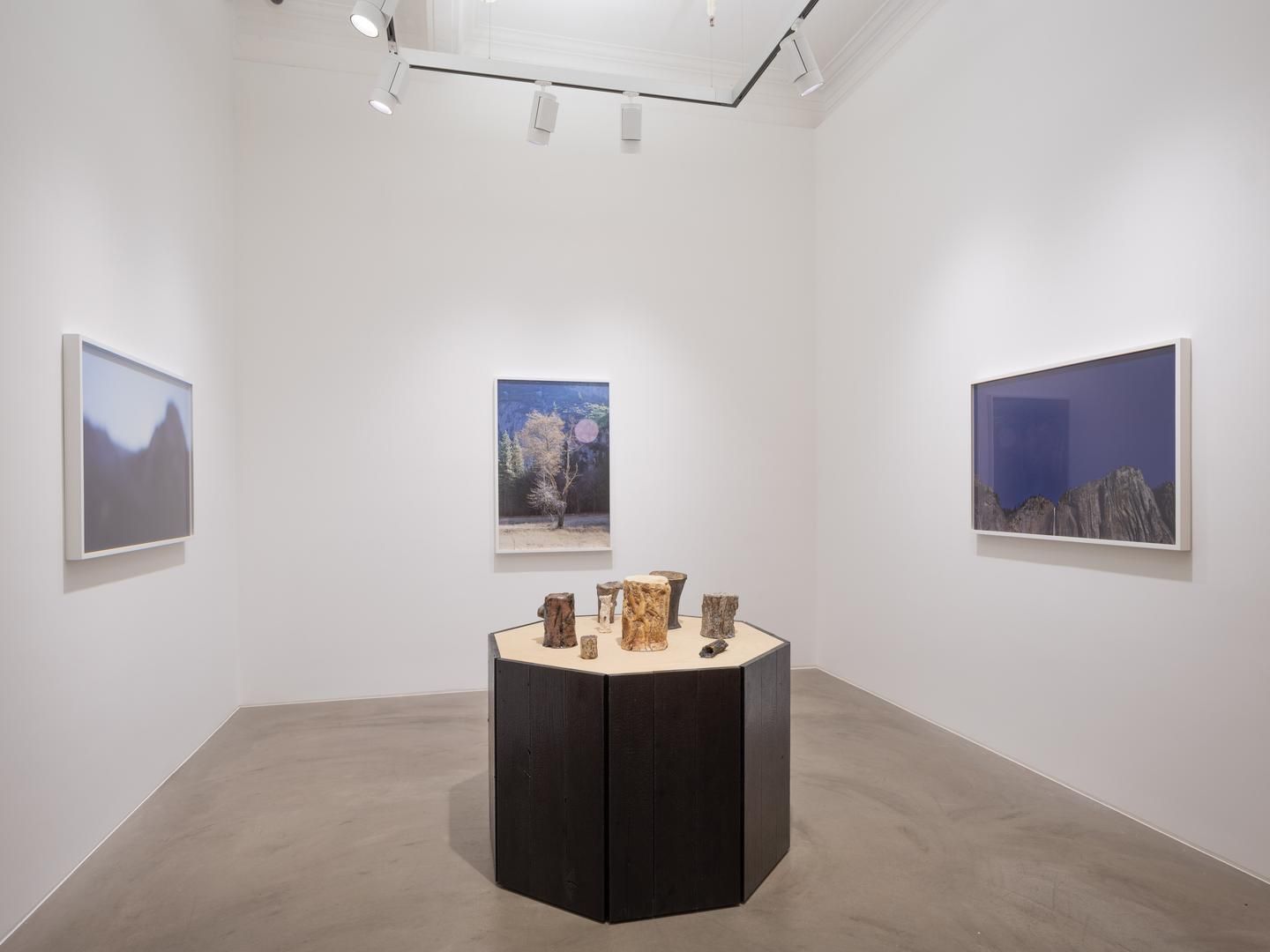 CATHERINE OPIE So long as they are wild
installation view 2