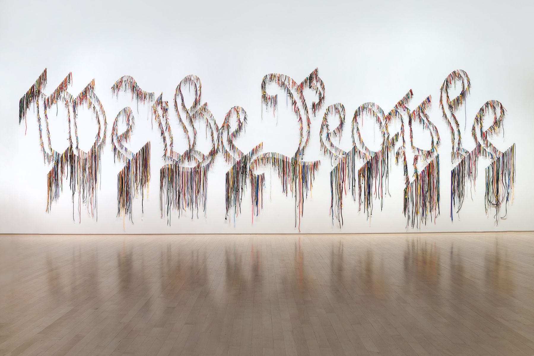 Installation view Worlds Otherwise Hidden, Kemper Museum of Contemporary Art, Worlds Otherwise Hidden, May 17-September 2, 2018.